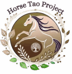 Horse Tao Project